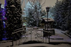 photo_2025-11-27_21-53-32